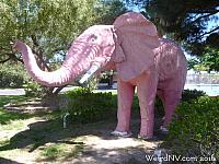 Pink Elephant