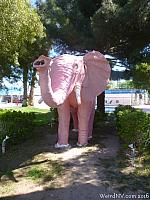 pinkelephant07
