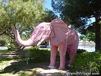 pinkelephant12