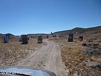 carforest07