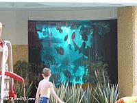golden nugget25