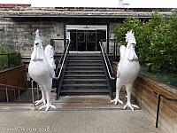 chicken anaheim 03
