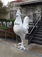 chicken anaheim 05