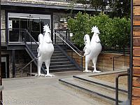 chicken anaheim 17