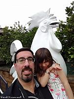 chicken anaheim 23