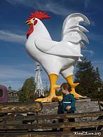chicken ag08