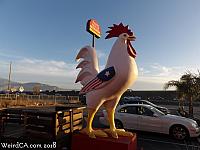 chicken banning 09