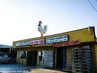 Midway City - Baladi Poultry