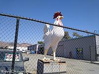 Morgan Hill Giant Chicken