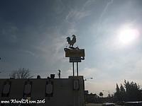 chicken pomona01