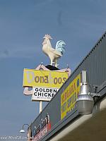 chicken pomona07