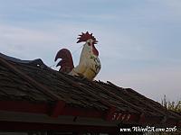 chicken riverside02
