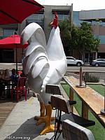 chicken sandiego 09