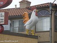 chicken sanpedro06