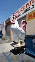 Sylmar plays host to a giant rooster!
