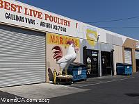 sylmar chicken08