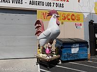 sylmar chicken18