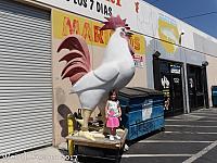 Sylmar Giant Chicken