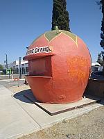 bono orange04