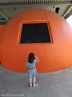 san jose orange 2018 05
