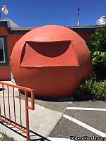 shasta orange02