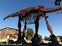 jurupa dinosaurs024