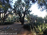 jurupa dinosaurs027