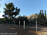 jurupa dinosaurs029