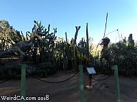 jurupa dinosaurs034
