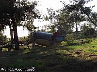 jurupa dinosaurs035