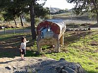 jurupa dinosaurs039
