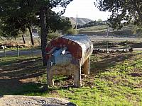 jurupa dinosaurs040