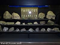 jurupa dinosaurs110