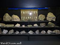 jurupa dinosaurs111