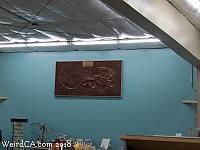 jurupa dinosaurs129