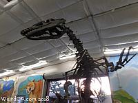 jurupa dinosaurs130