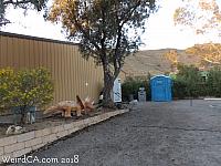 jurupa dinosaurs139