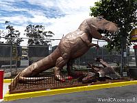 San Bruno T-Rex