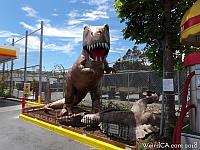 dinosaur san bruno04