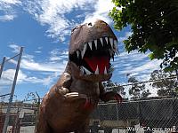 dinosaur san bruno08