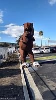 slo dinosaur02