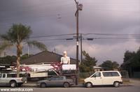 Picture 002