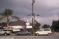 Picture 003