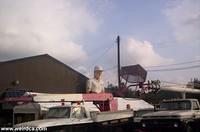 Picture 006