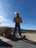 joshua tree mm02