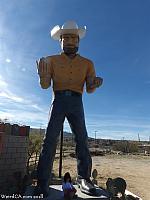 joshua tree mm05