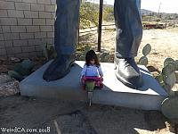 joshua tree mm06