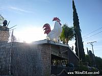 Mentone Giant Rooster
