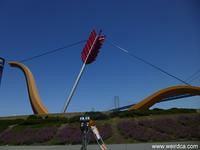 Cupid's Span