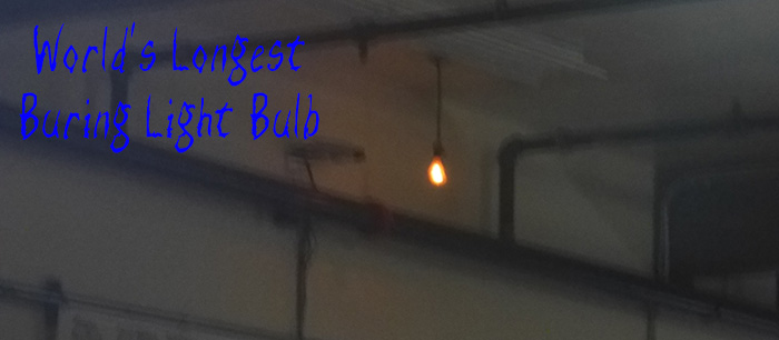 Longest Burning Light Bulb in the World